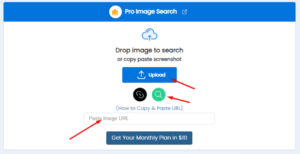 Interface of Duplichecker Reverse Image Search