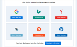 Working of Reverse Image Search