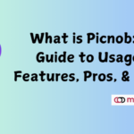 Picnob Instagram Viewer and Downloader