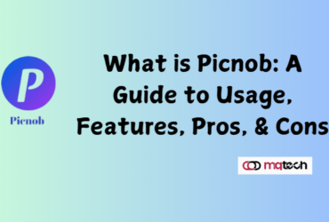 Picnob Instagram Viewer and Downloader